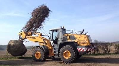 A Liebherr 556 loading shovel carrying a large tree ready for planting